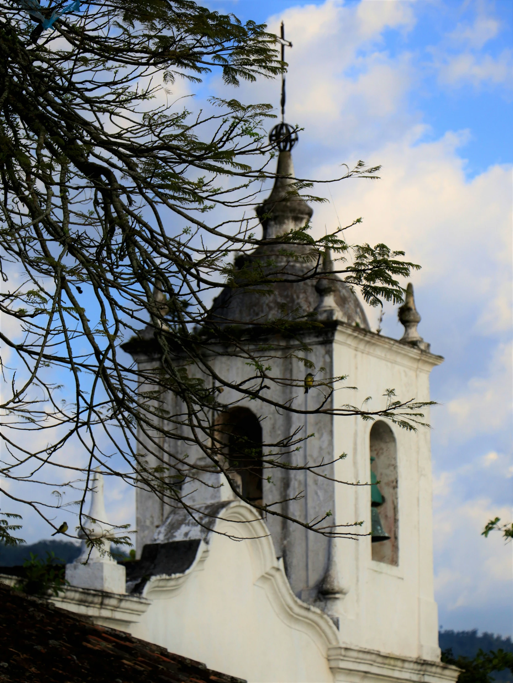 the bell tower has a steeple on top