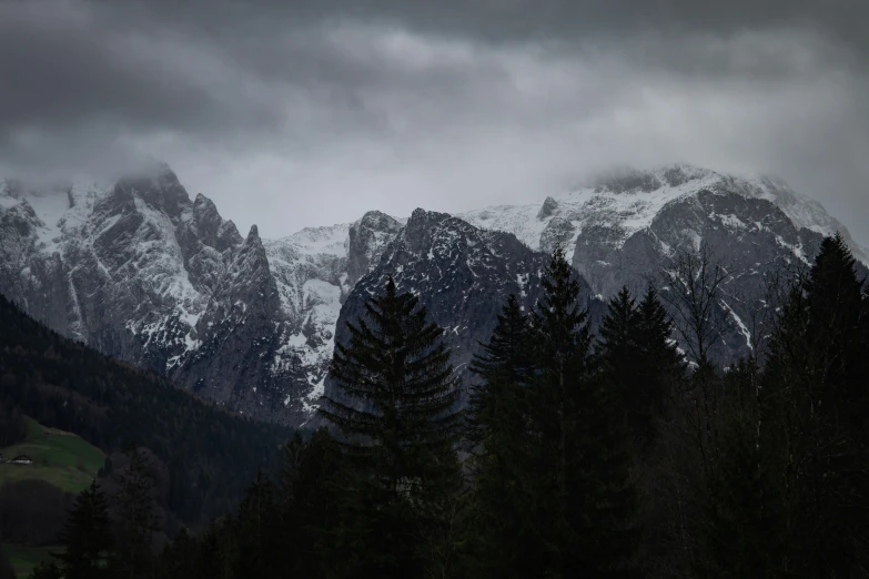 there is a mountain with many trees on it