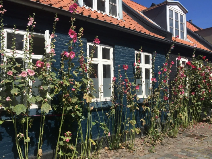 pink roses on blue bricked building with red roof