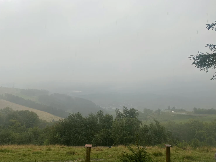 view of a scenic hilly field with trees on each side