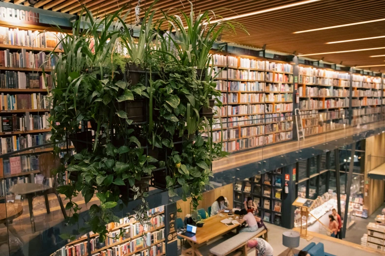 an indoor liry with people reading and hanging books