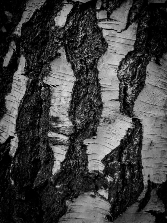 an image of black and white of wood