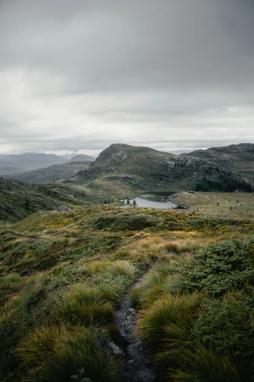 the view from a hill above the grass