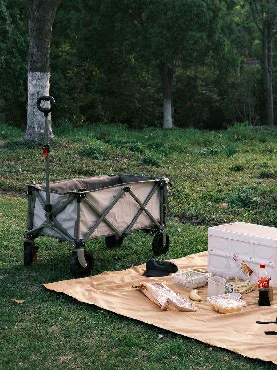 a picnic area set out with a blanket and utensils