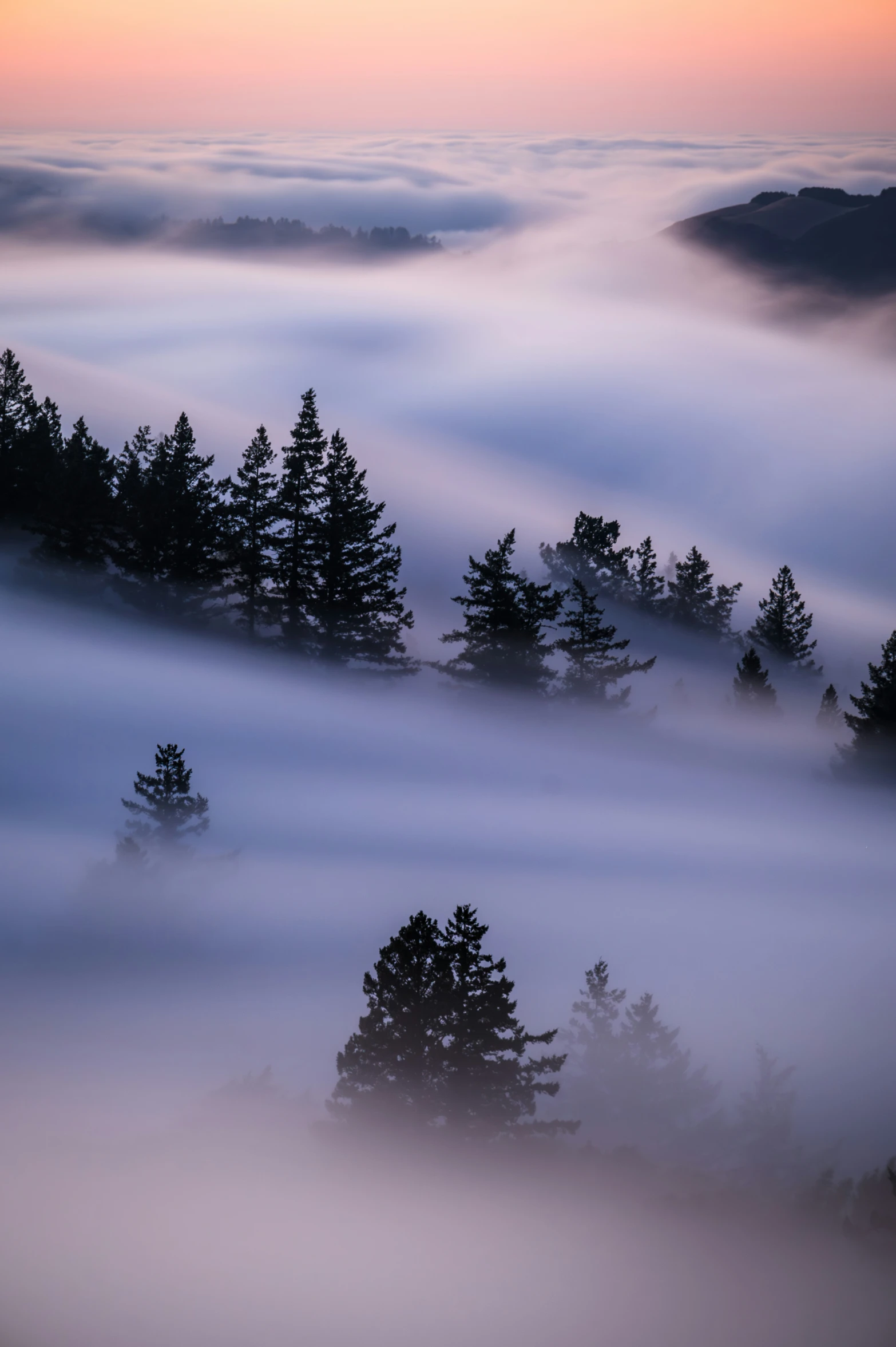 a view of a foggy valley with trees