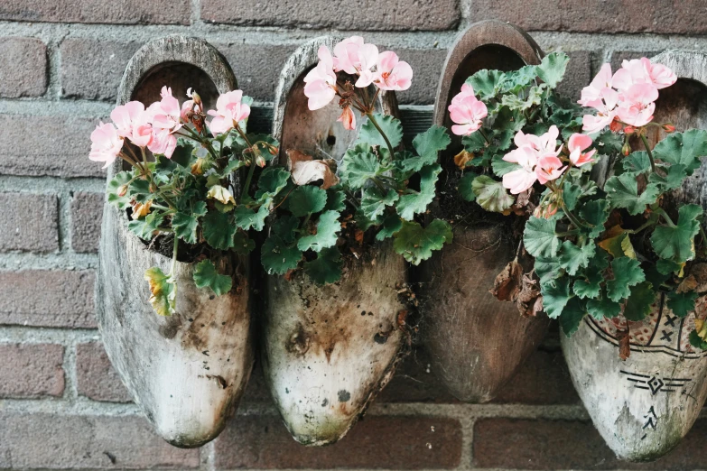 two old shoes are covered in flowers and plants