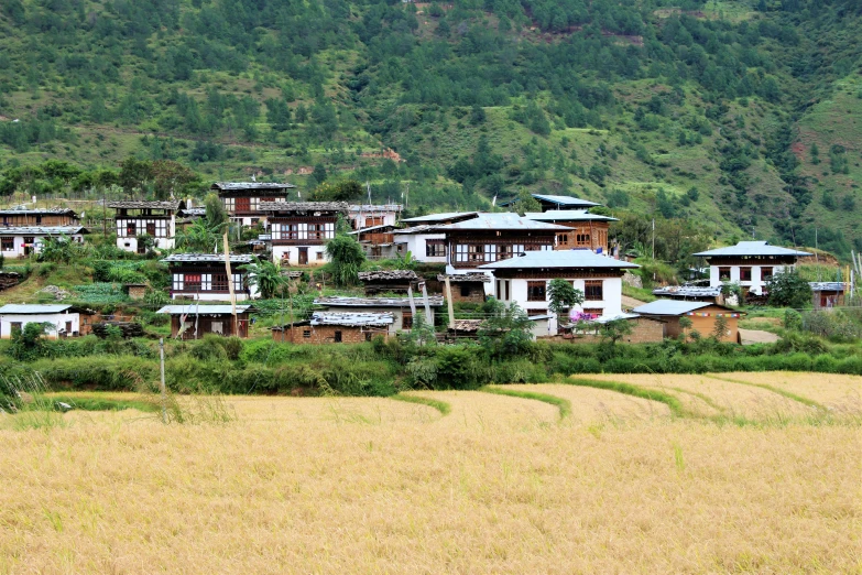 several houses sit on the side of the hill