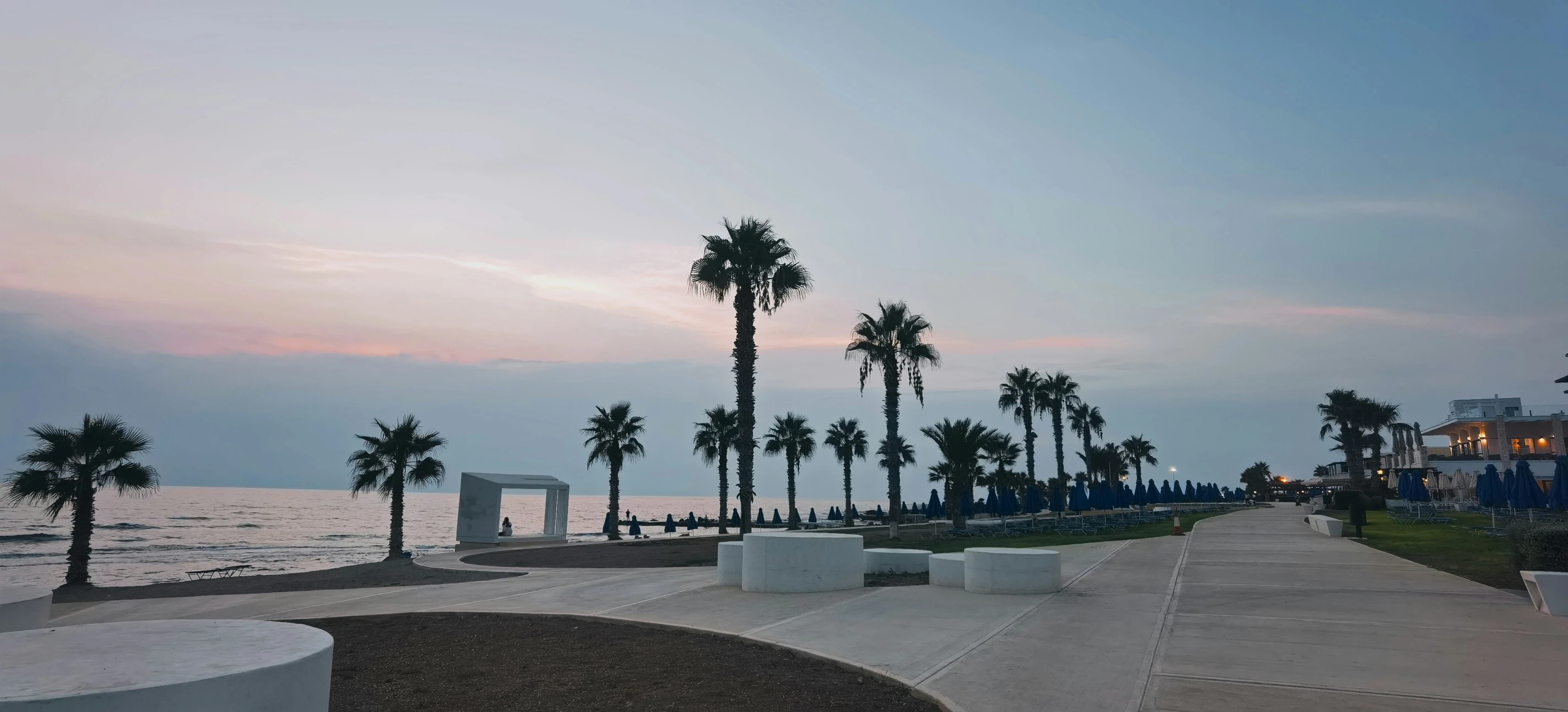 palm trees and sidewalk by the ocean during sunset