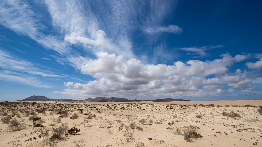 an expanse of desert grass and mountains under cloudy skies