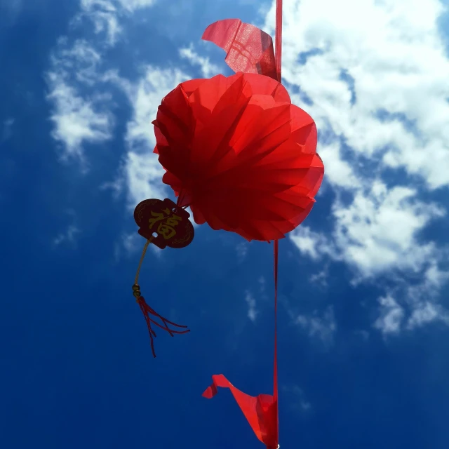 a kite is shaped to resemble a fish