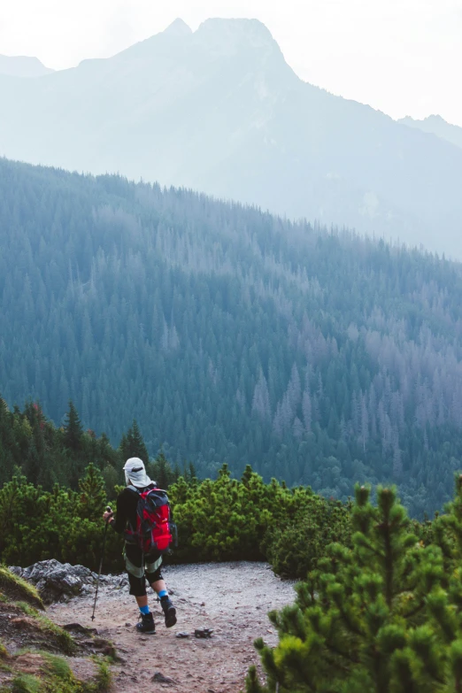 the backpacker treks up a mountain trail