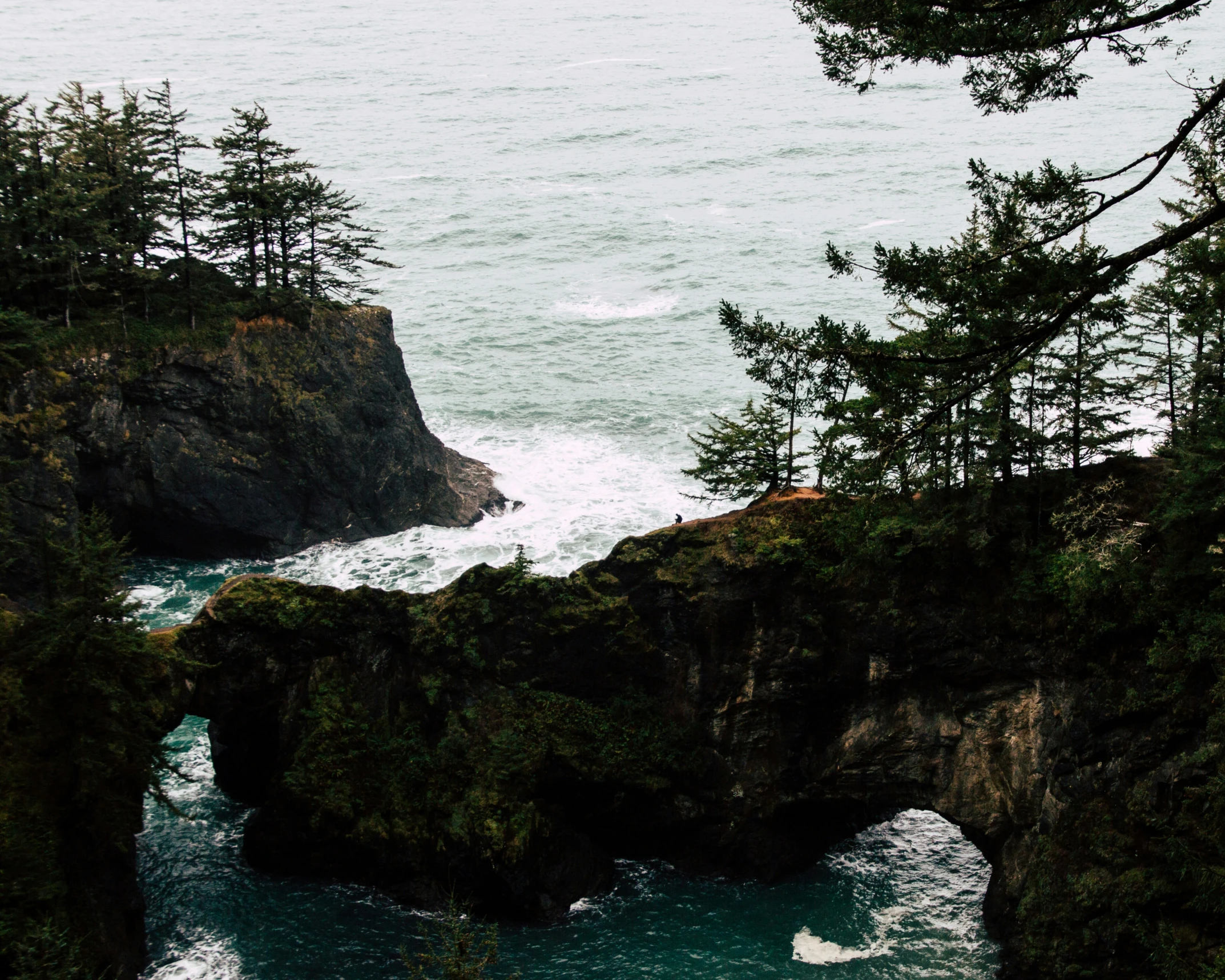 two people in canoes at the edge of an ocean