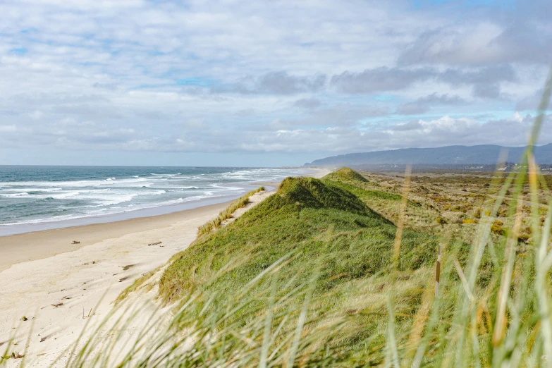 a sandy area next to an ocean with green grass