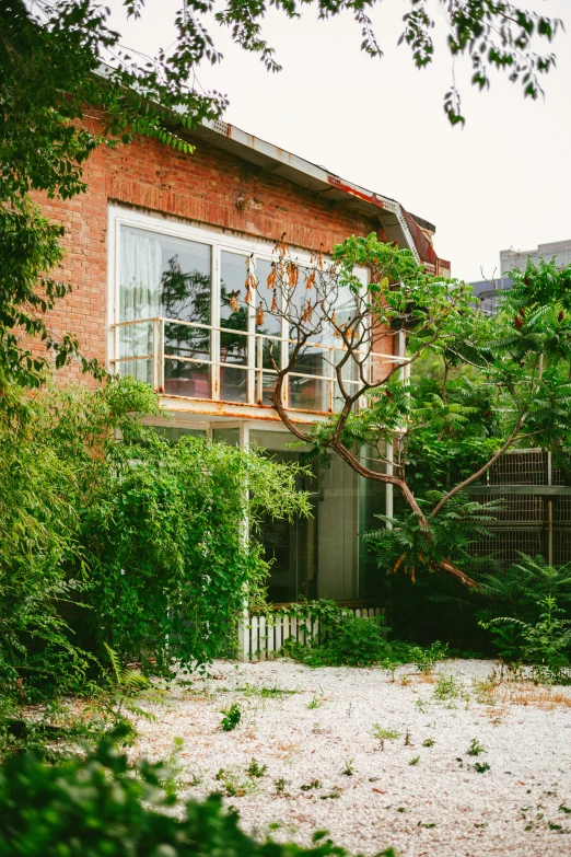 a house with some plants growing out of it's window