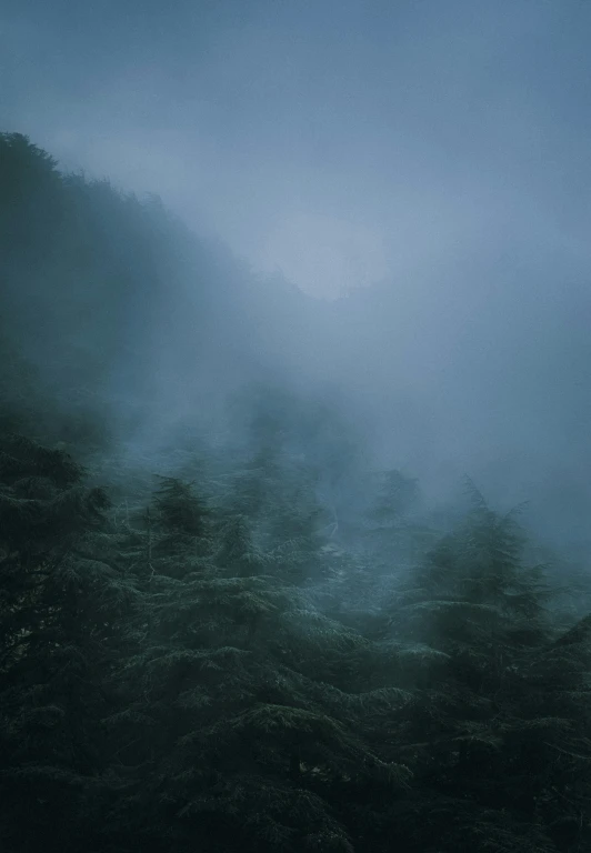 fog in the valley on a cloudy day