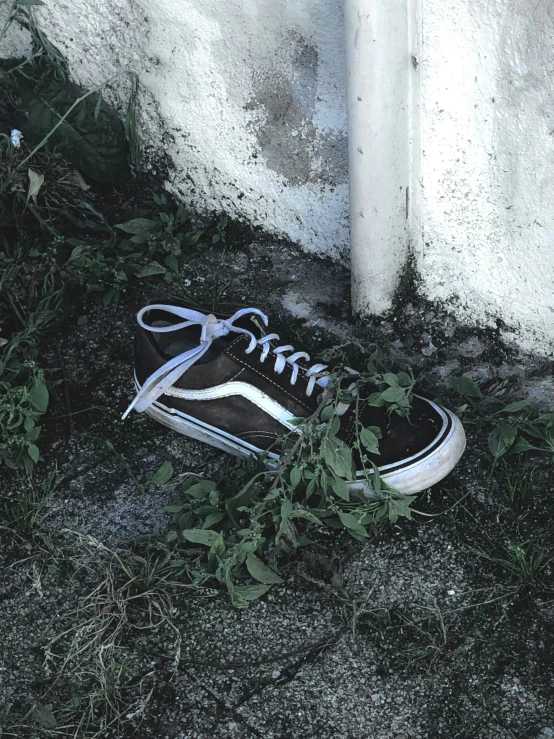 a tennis shoe left on the ground outside