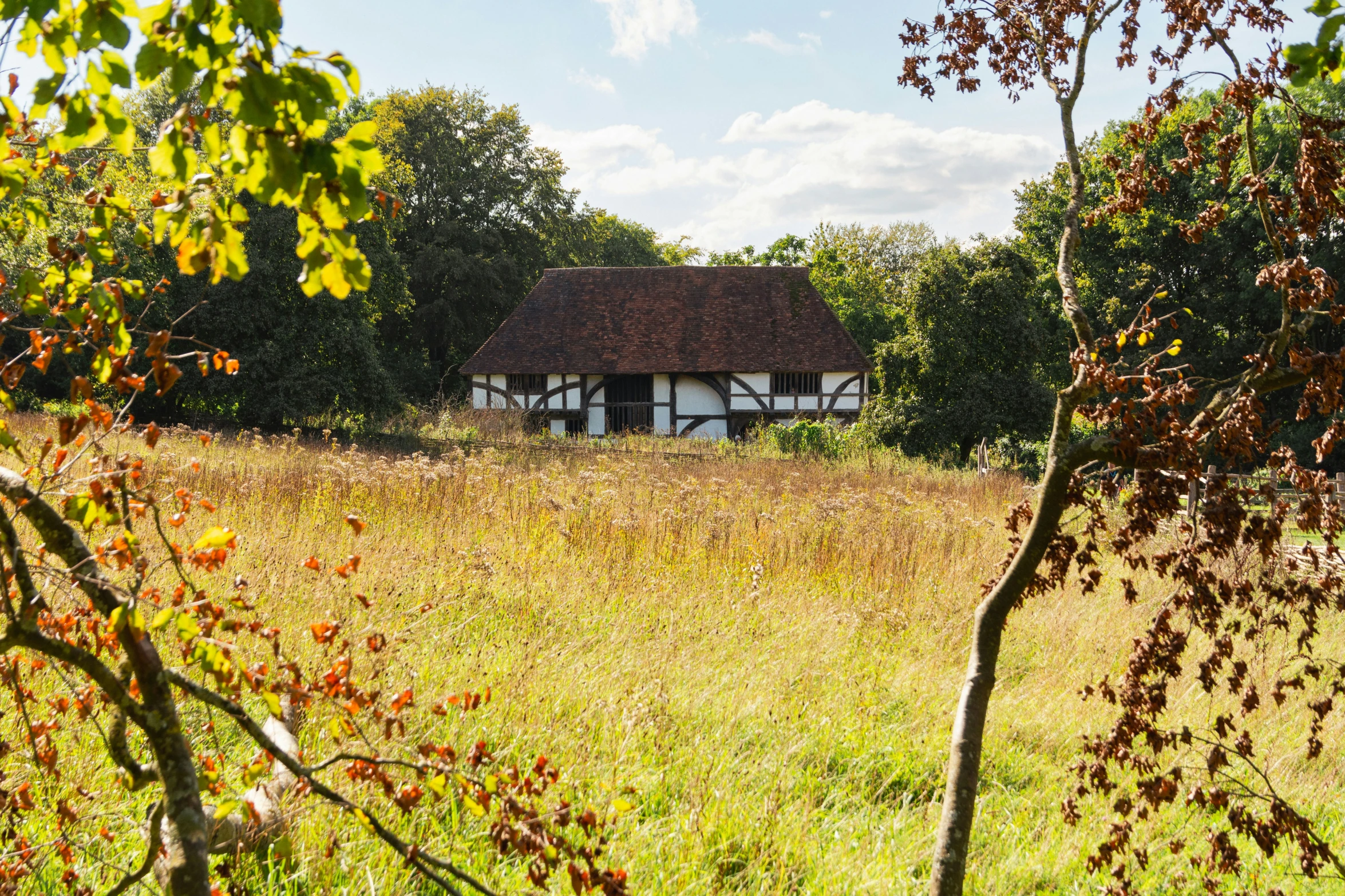 a house is surrounded by trees and a grassy field