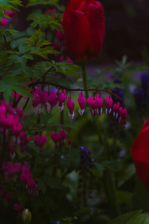 some pink flowers hanging from a tree with green leaves