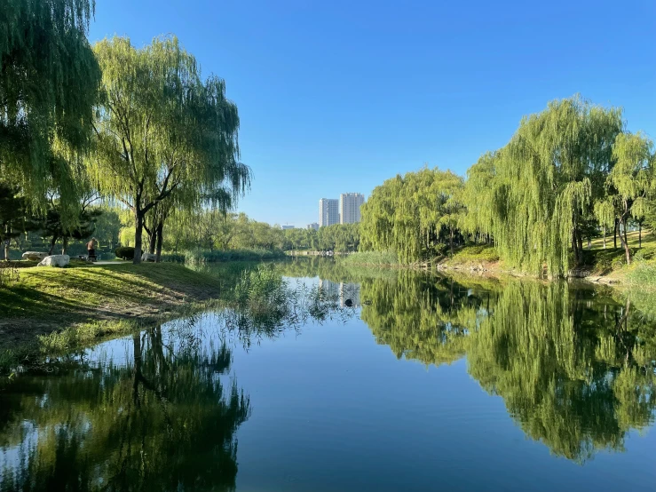 a body of water surrounded by trees and buildings