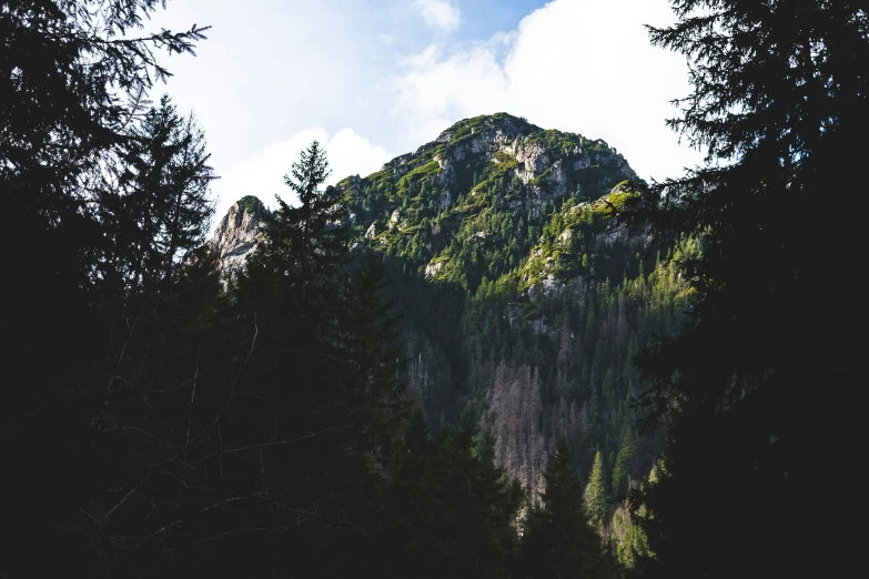 some mountains that have very many trees in front