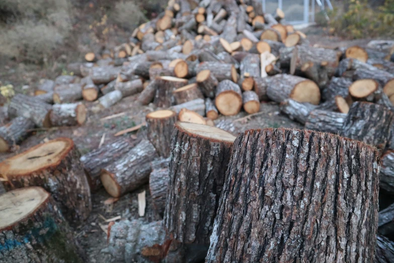 several large logs that are stacked on each other