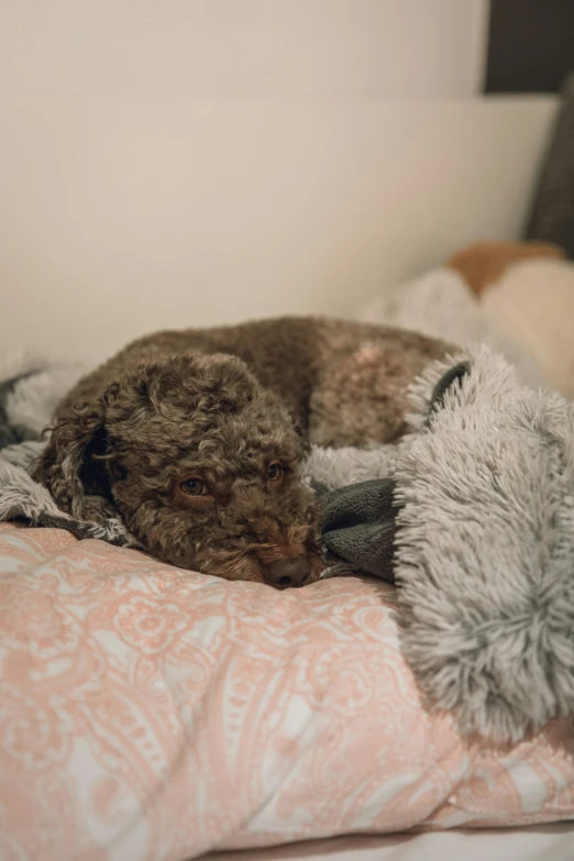 an old teddy bear is lying on the comforter