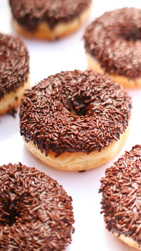 chocolate sprinkle covered donuts are placed on a plate