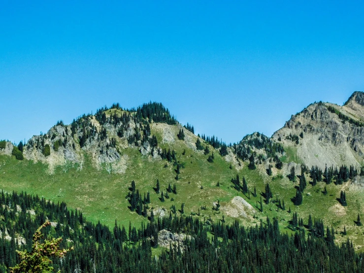 mountains rise above trees in a mountainous area