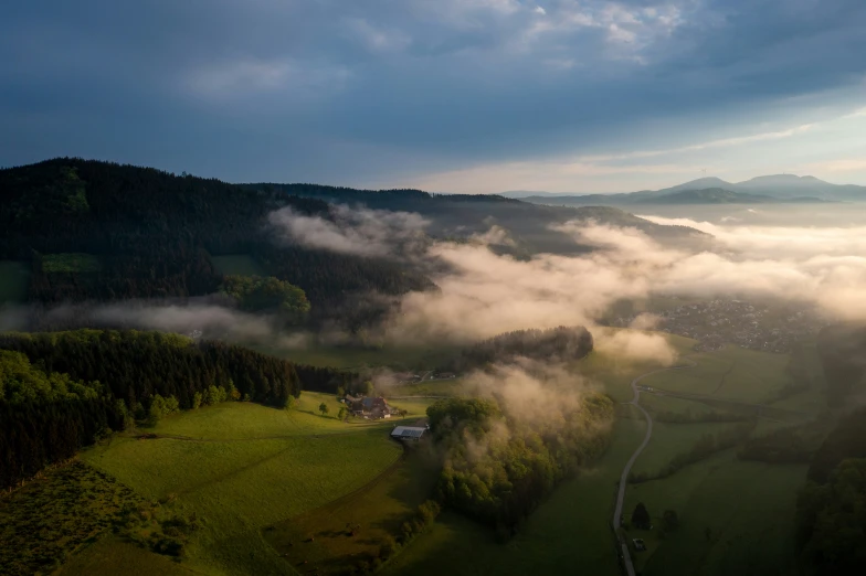 fog is covering trees and rolling into the valley