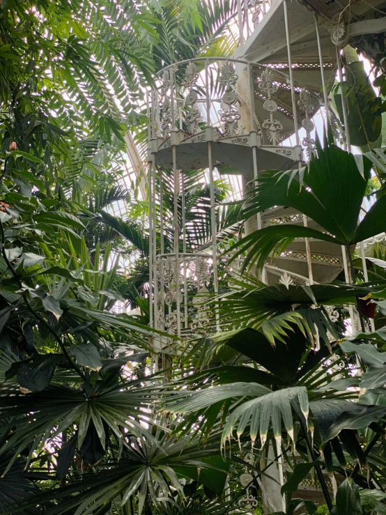 an old, cage hanging from the ceiling in a green forest