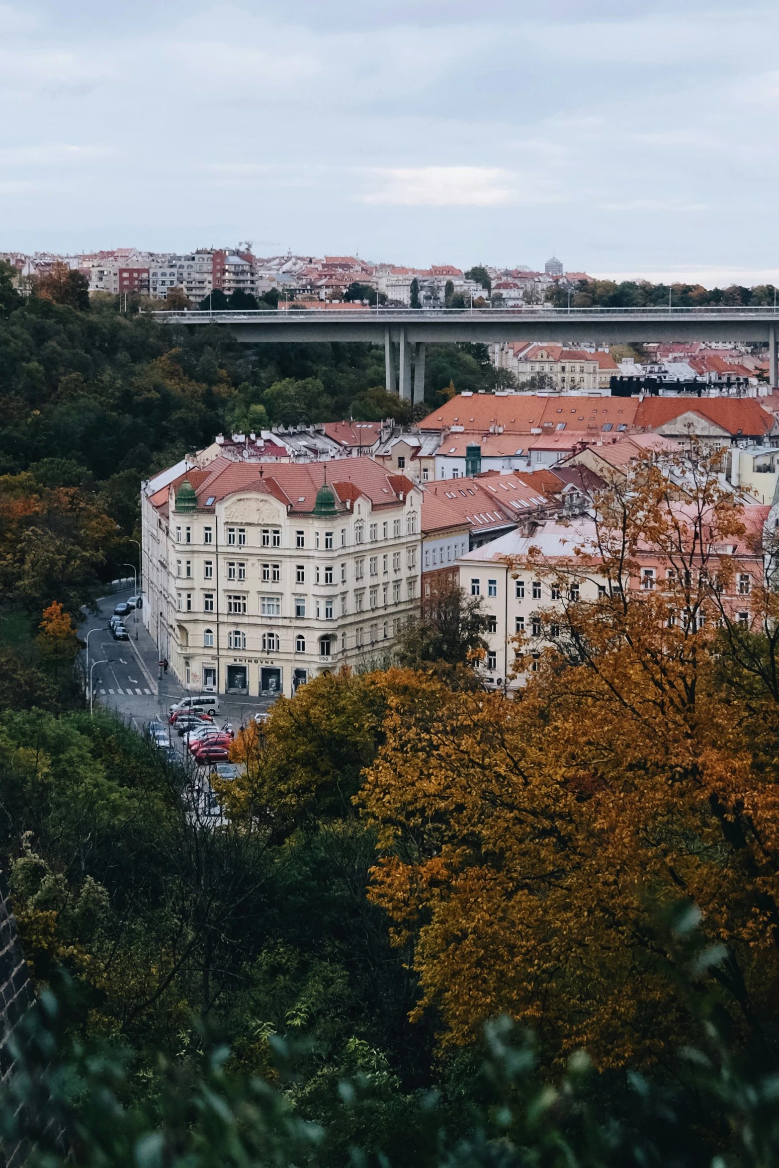 some trees and buildings and an elevated bridge