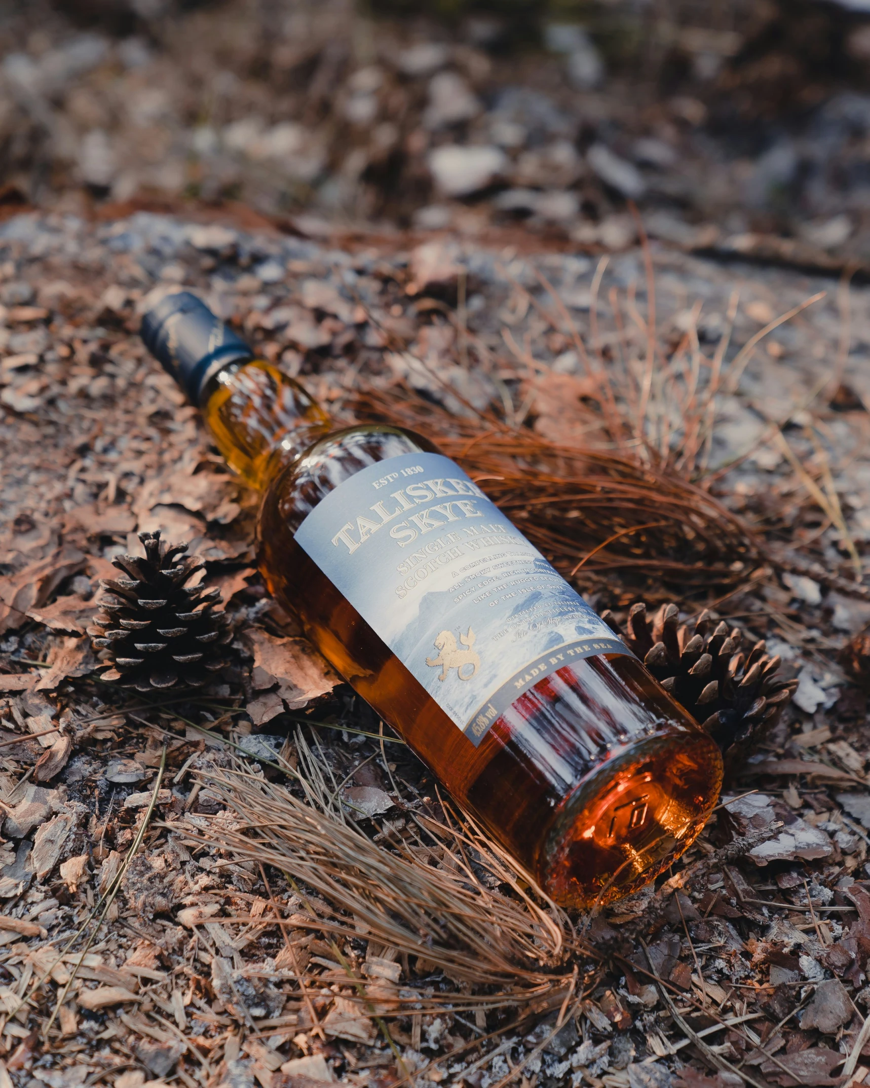 an empty bottle laying on the ground next to a pine cone