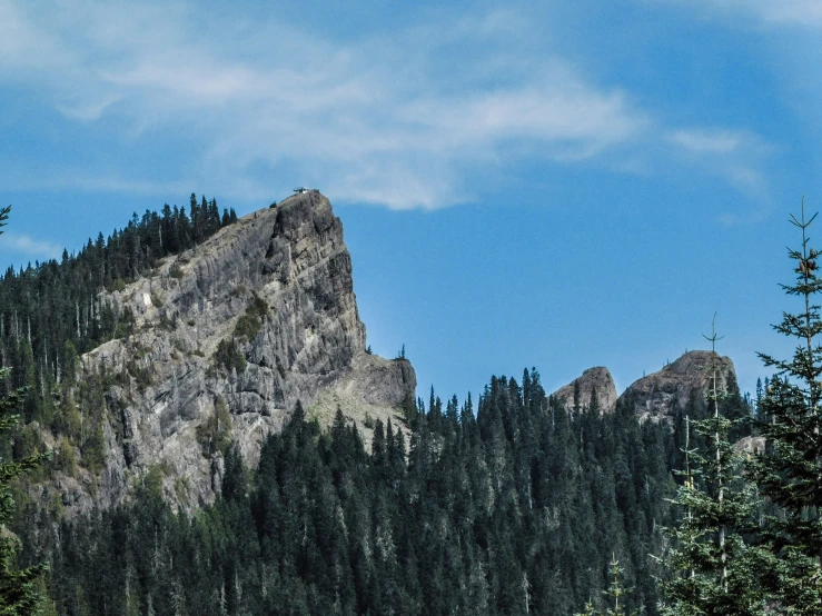 trees and mountain on either side of it