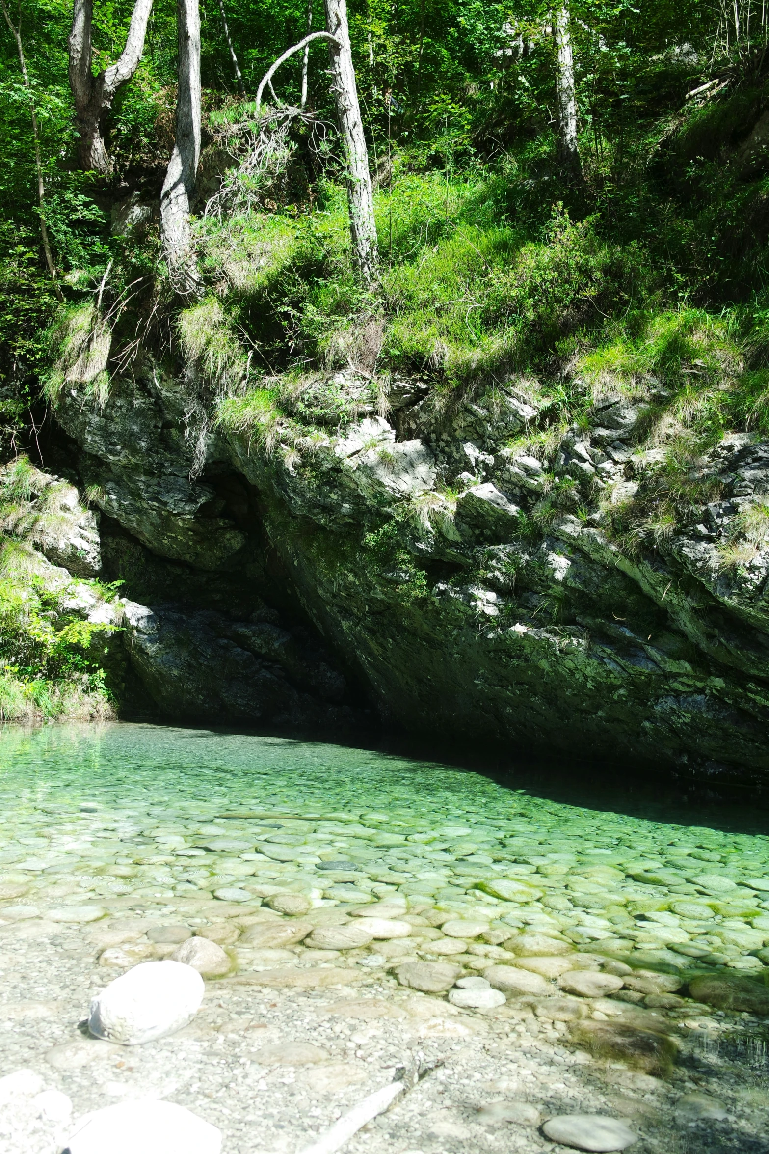 a river is running through the woods in the sun