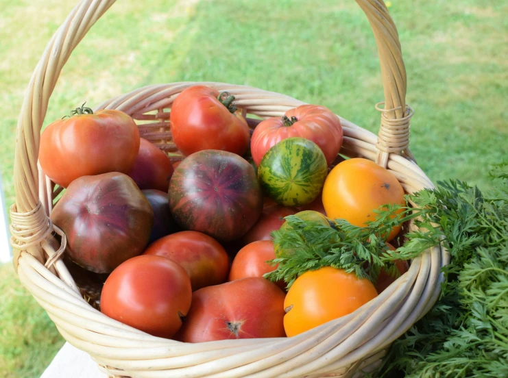 a basket full of tomatoes and other fruits and vegetables
