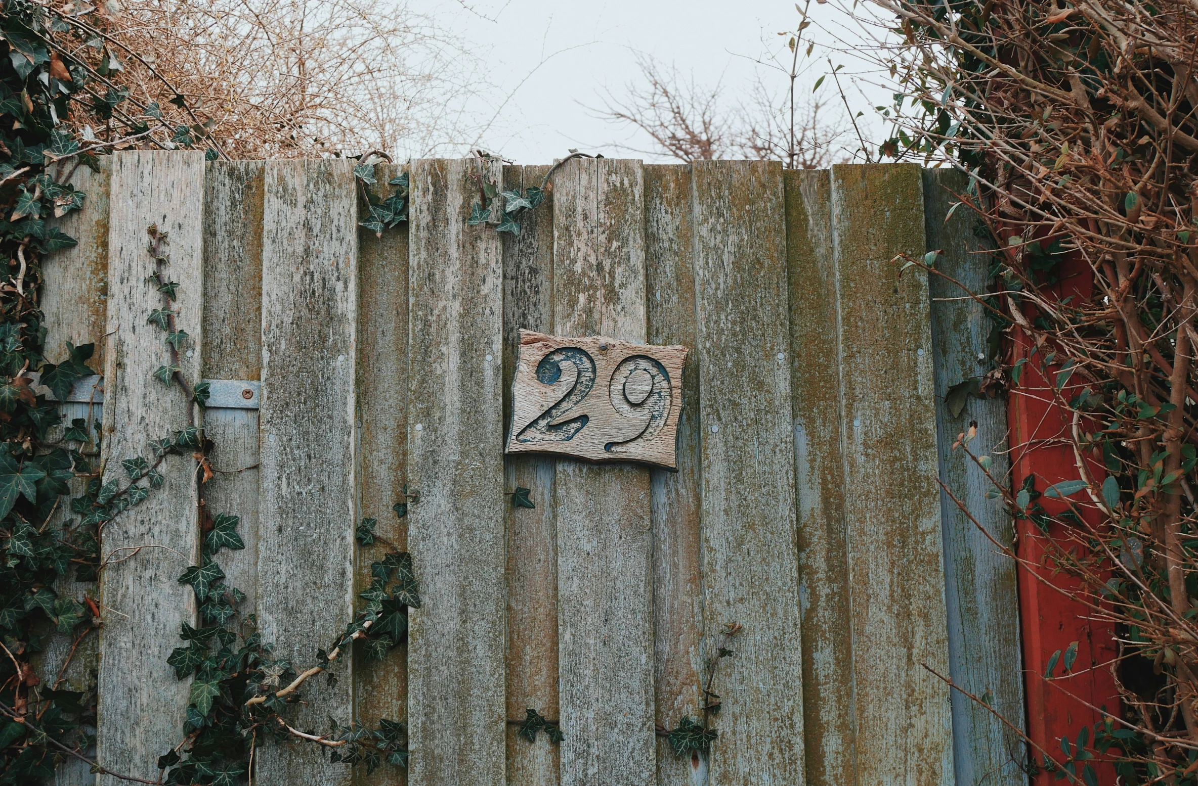 a wooden fence with vines around it, and a plaque on it