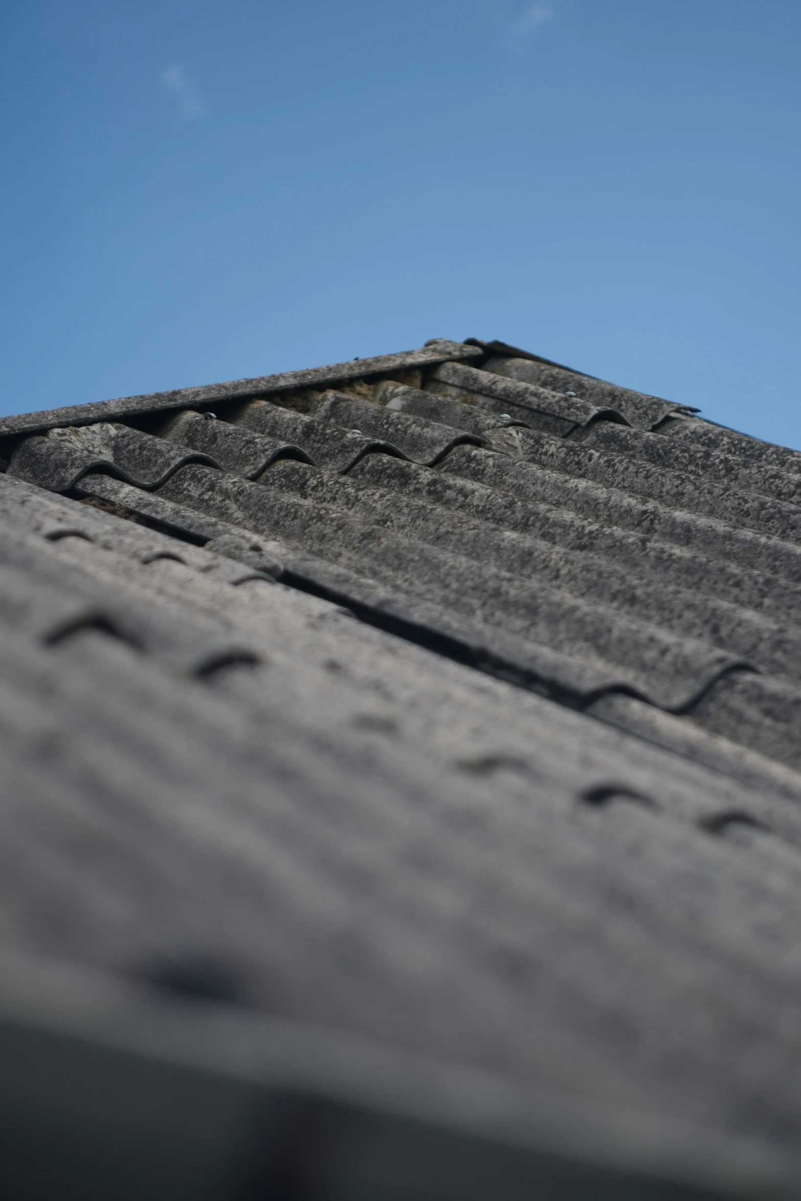 a bird is perched on top of the roof