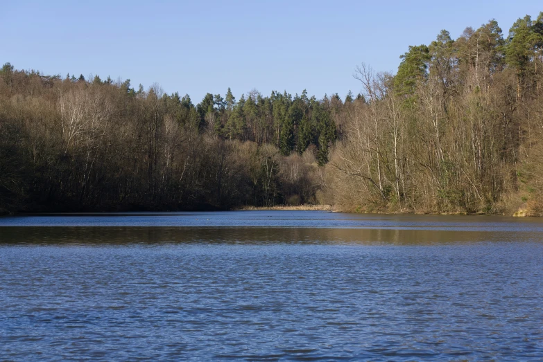 the water is reflecting the forest in the background