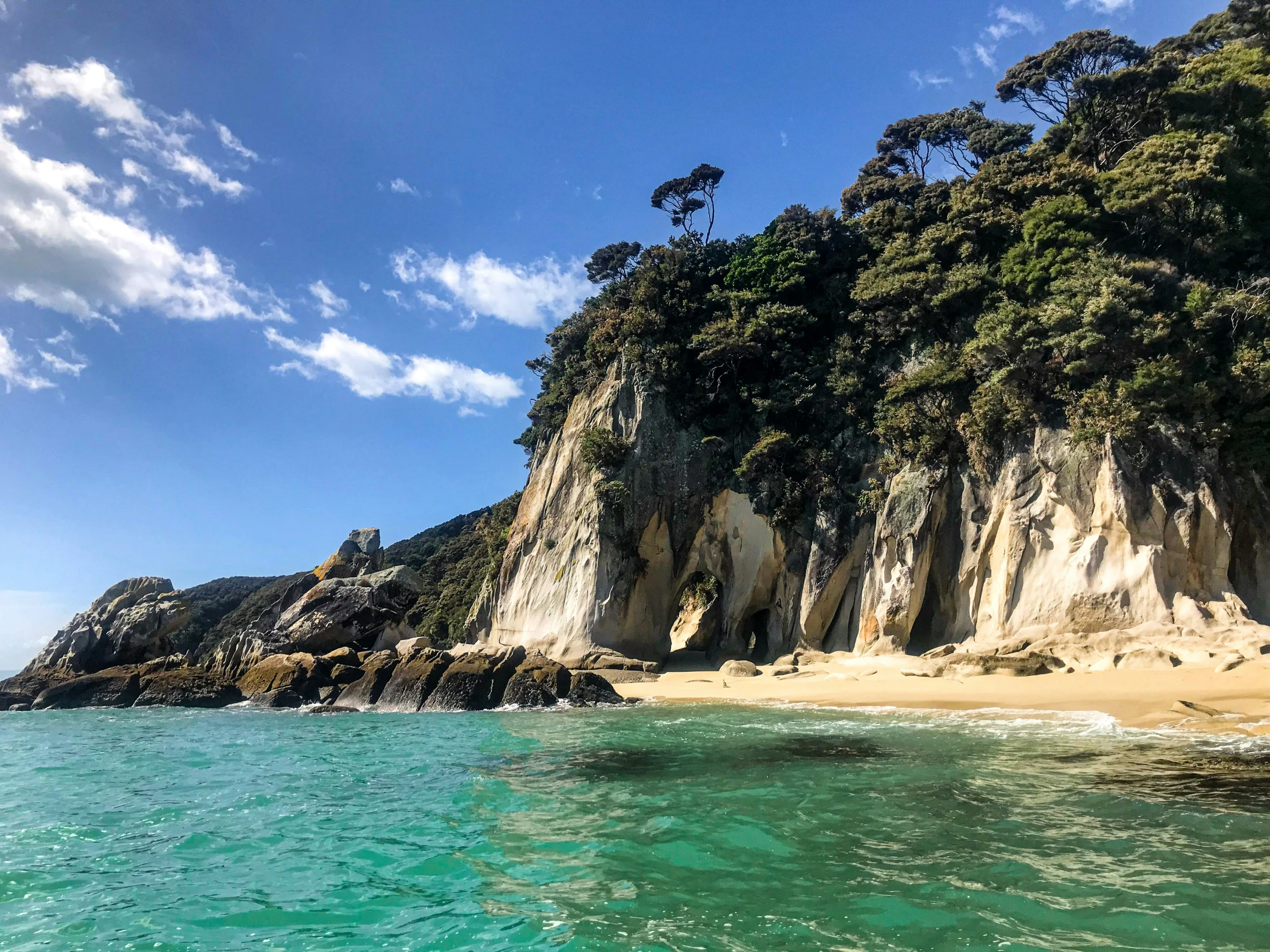 a rocky area near the shore that looks like it has some trees