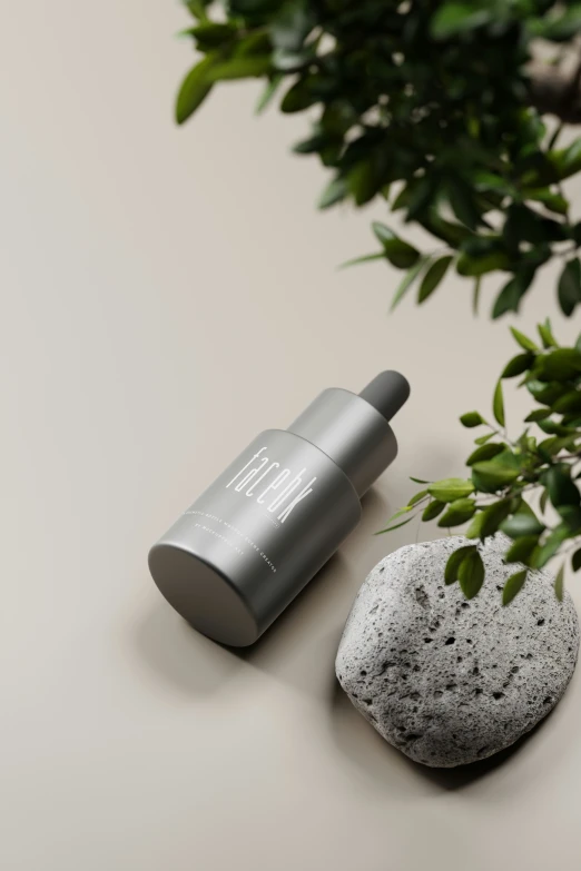 an empty silver bottle sitting on top of a rock next to a plant