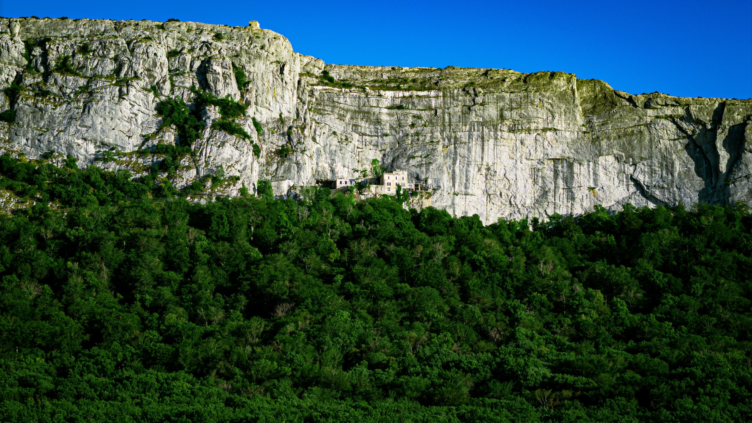 a tall cliff towering over a forest covered hillside