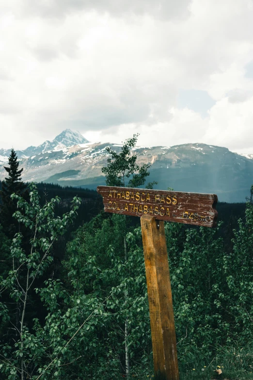 a wooden sign with a mountain in the background