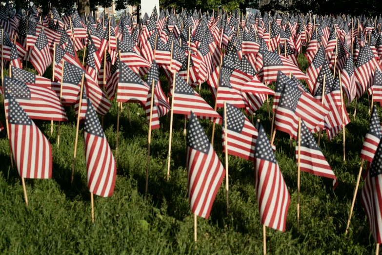 a field of american flags set on sticks