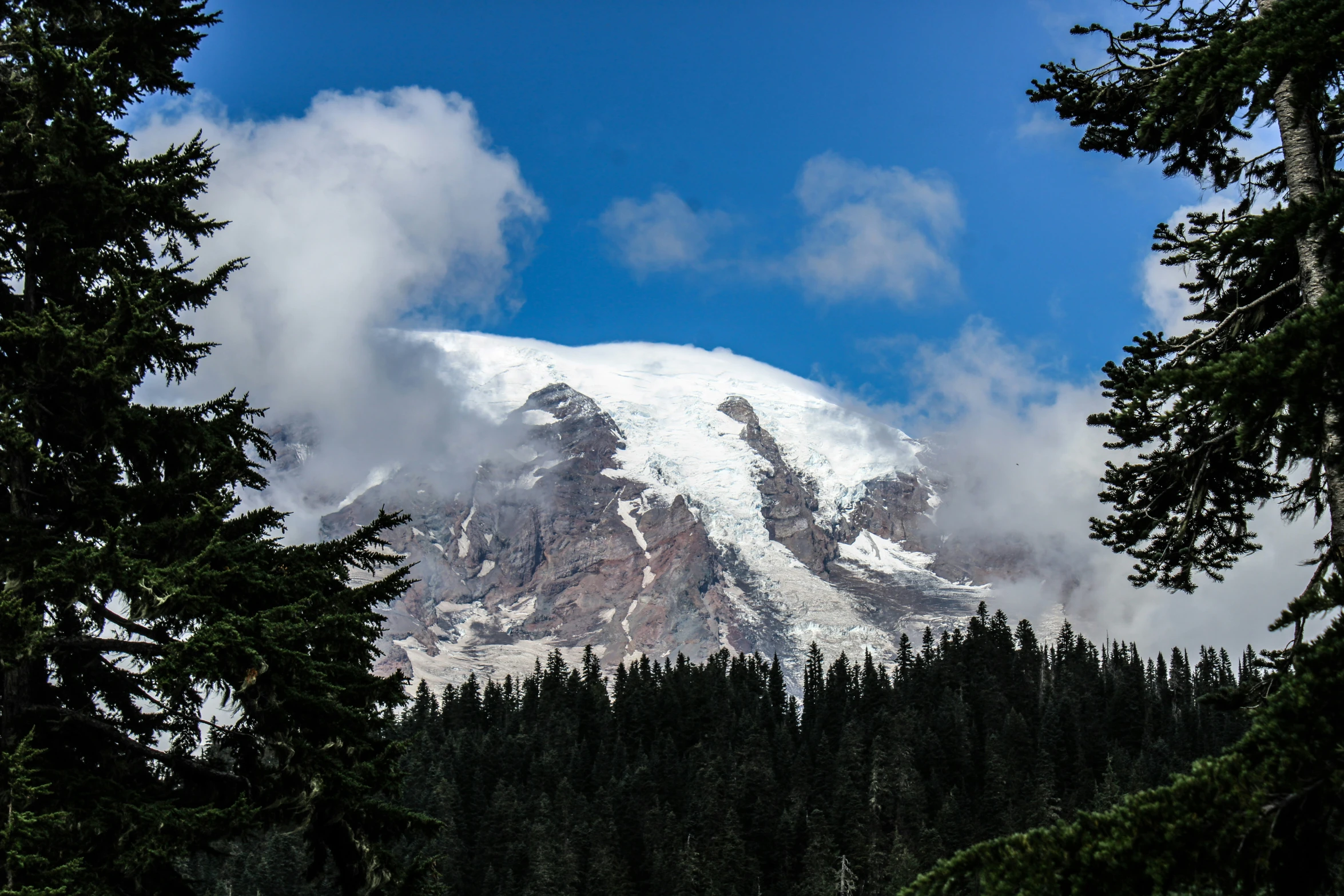 the mountains have snow on them and many trees