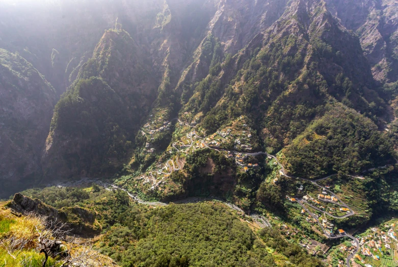 the valley with a lot of trees and some small buildings on it