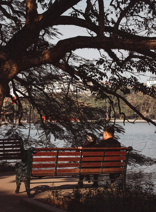 the man is sitting on the bench by the lake