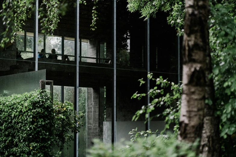 an office building in the middle of some trees