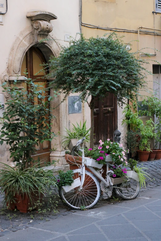 a bicycle with flowers on a side walk