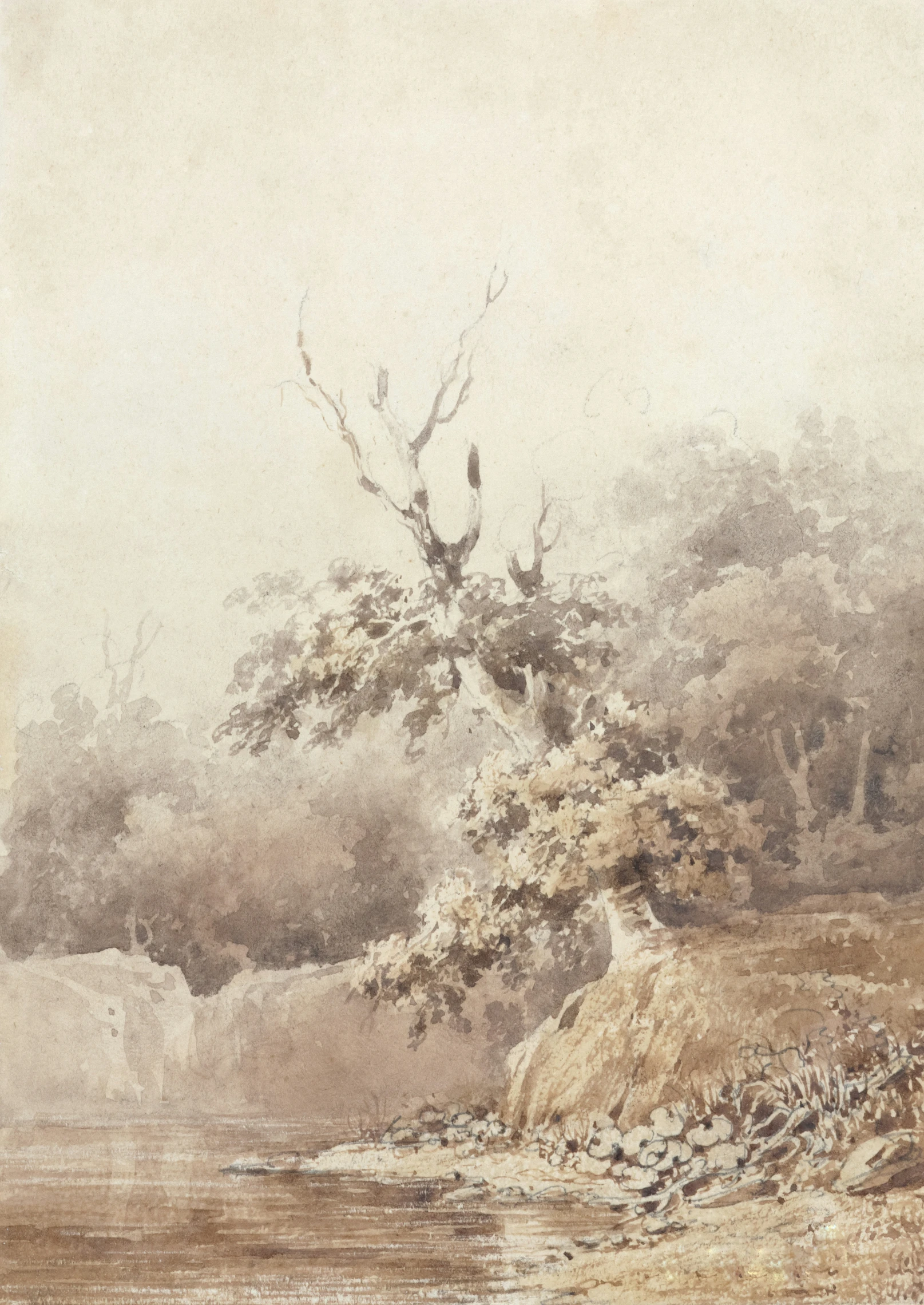 a painting of trees and rocks on the water