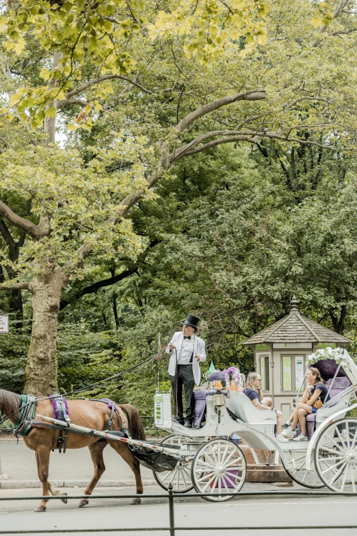 a person is riding in a horse drawn carriage